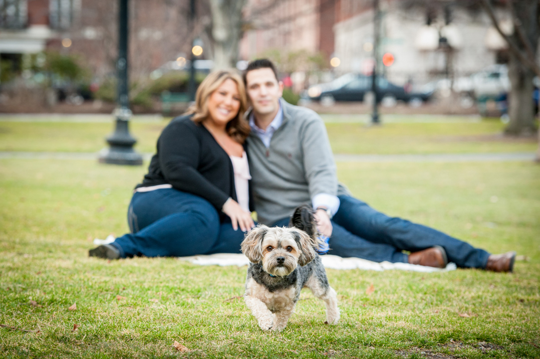 couple with their little dog posing in the boston public garden
