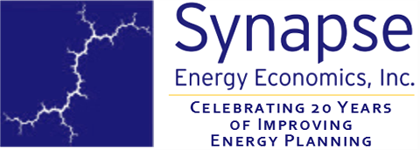 Synapse Energy Economics logo