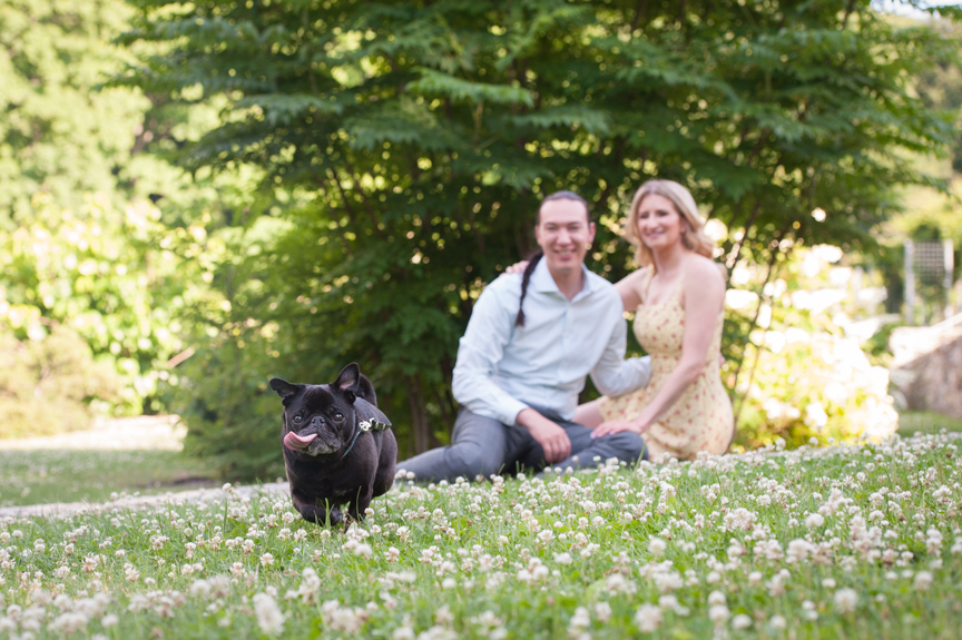 Get to Know You session engagement photos with dog