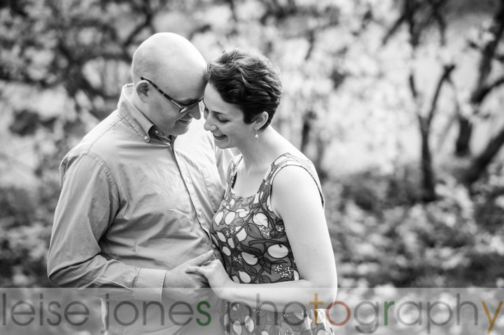 engagement photos arnold arboretum boston